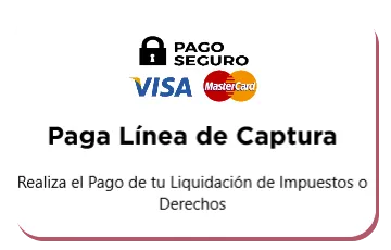 Paga tu liquidación en línea