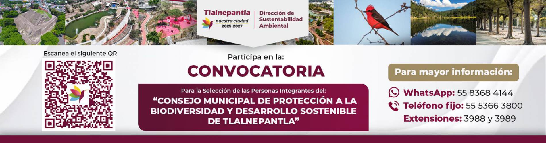Convocatoria 
